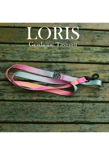 Köpek Gezdirme Tasması Loris