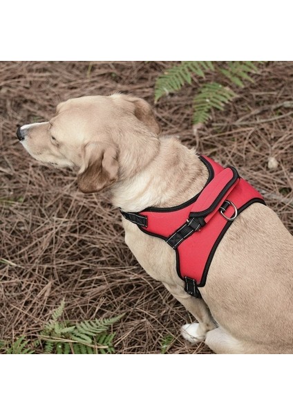 Köpek Göğüs Tasması Ratna Kırmızı