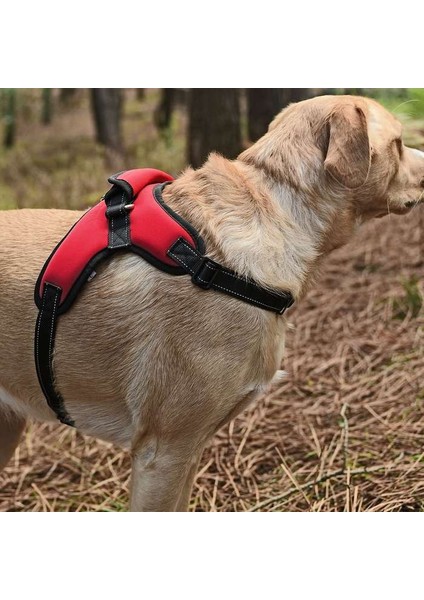 Köpek Göğüs Tasması Ratna Kırmızı