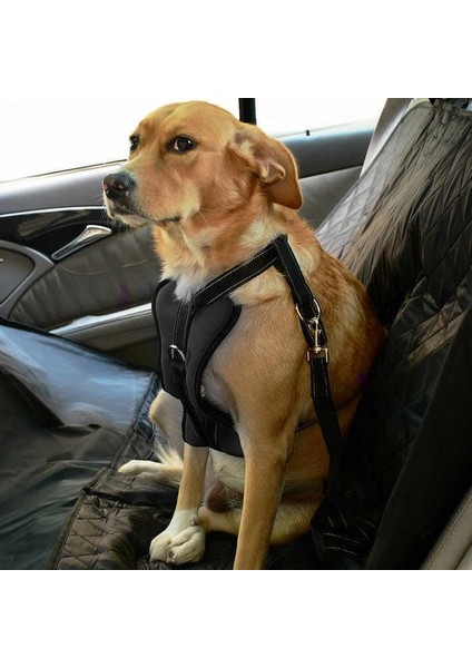 Köpek Araç Emniyet Kemeri ve Tasması Arnav Siyah
