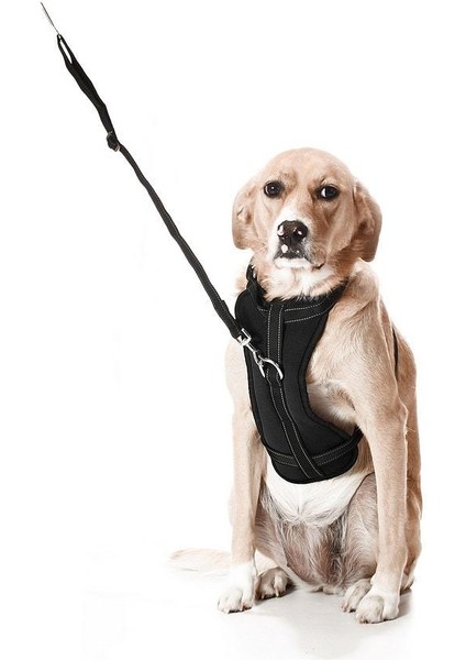 Köpek Araç Emniyet Kemeri ve Tasması Arnav Siyah modelleri