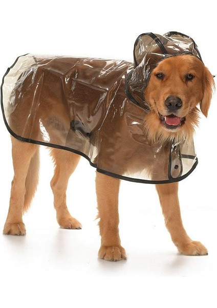 Köpek Büyük Irk Yağmurluk Otso Şeffaf Siyah modelleri