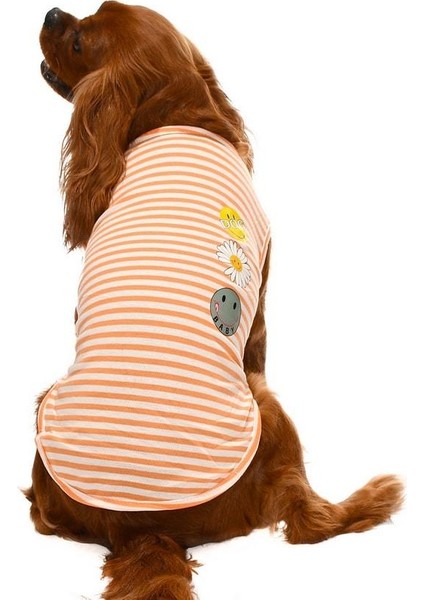 Küçük ve Orta Irk Köpek T Shirt Stina