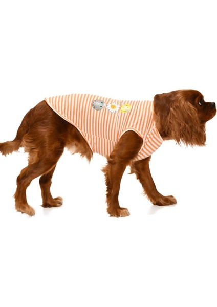 Küçük ve Orta Irk Köpek T Shirt Stina