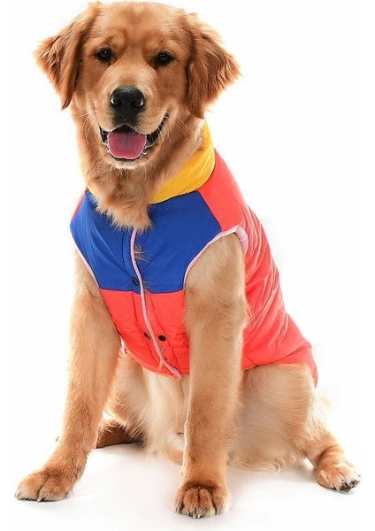 Orta ve Büyük Irk Köpek Mont Murpota Turuncu