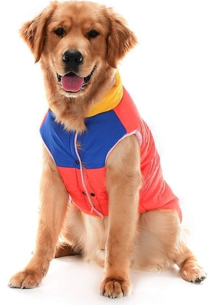 Orta ve Büyük Irk Köpek Mont Murpota Turuncu fiyatları