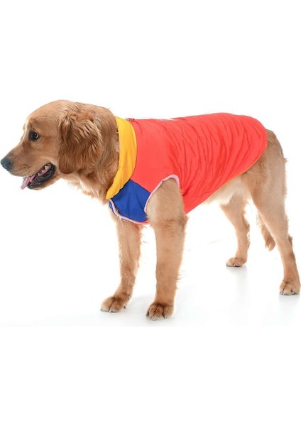 Orta ve Büyük Irk Köpek Mont Murpota Turuncu modelleri