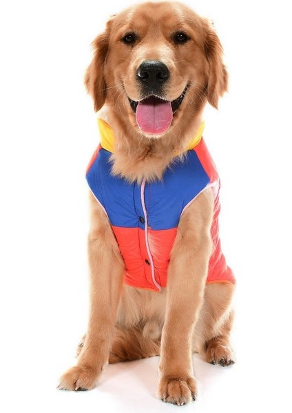 Orta ve Büyük Irk Köpek Mont Murpota Turuncu fırsatları