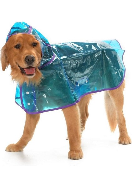 Köpek Büyük Irk Yağmurluk Otso Şeffaf Mavi modelleri