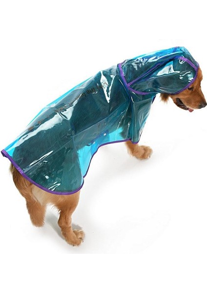 Köpek Büyük Irk Yağmurluk Otso Şeffaf Mavi fırsatları