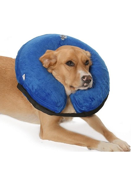 Köpekler Için Koruyucu Şişme Yakalık