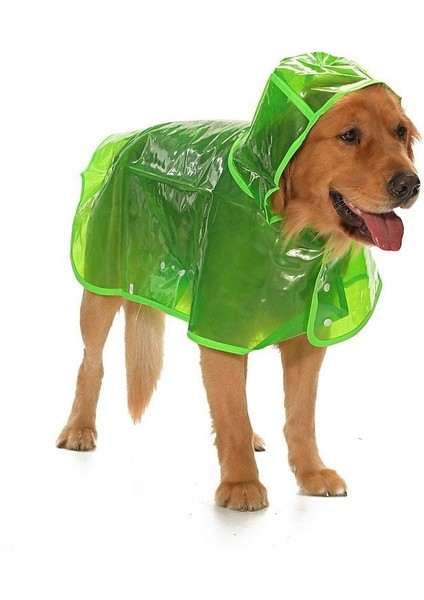 Köpek Büyük Irk Yağmurluk Otso Şeffaf Yeşil