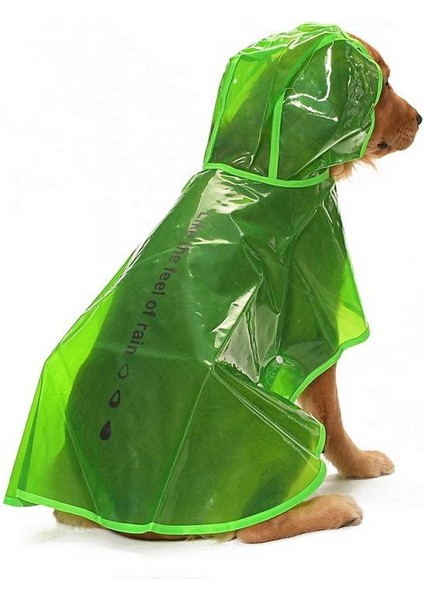 Köpek Büyük Irk Yağmurluk Otso Şeffaf Yeşil modelleri