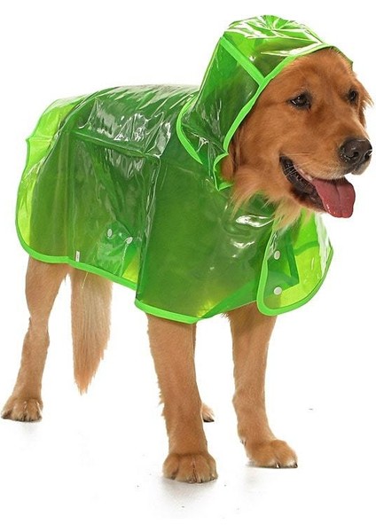 Köpek Büyük Irk Yağmurluk Otso Şeffaf Yeşil fırsatları