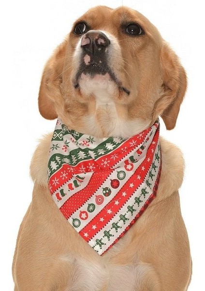 Köpek Bandana Exinue