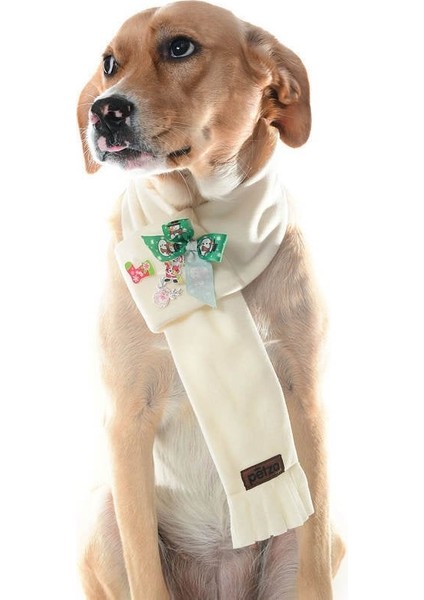 Polar Köpek Atkısı Luto