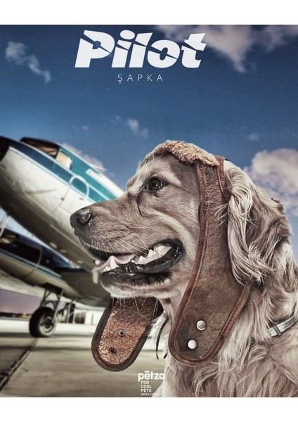 Küçük Orta ve Büyük Irk Köpek Şapka Pilot Kahve