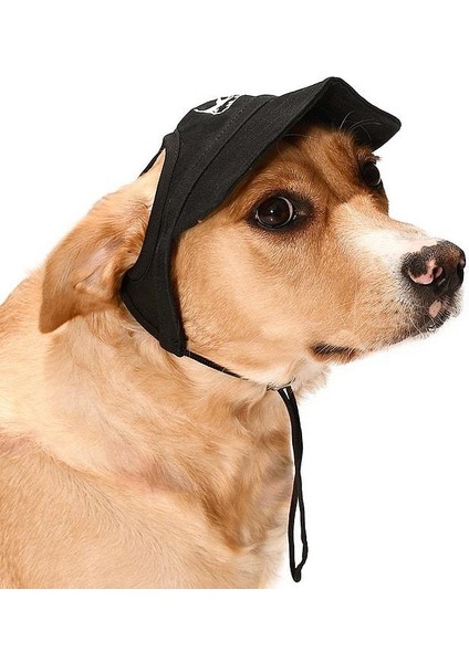 Küçük ve Orta Irk Köpekler Için Şapka Japers fiyatları