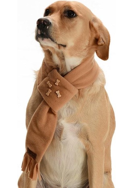 Polar Köpek Atkısı Potak