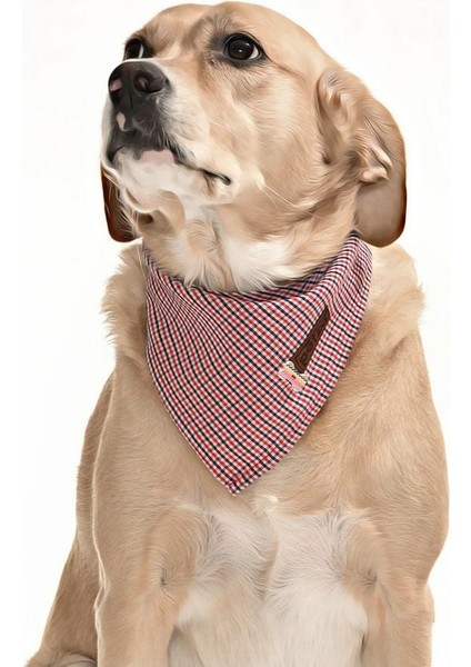 Köpek Bandana Anet