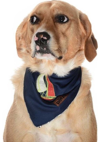 Köpek Bandana / Sailor