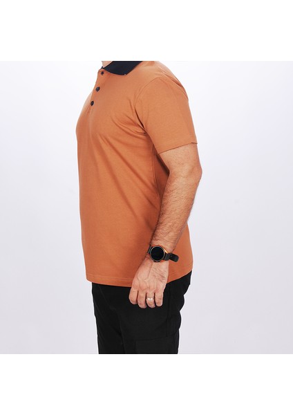 Polo Yaka Tişört Kahve-Lacivert Yakalı fiyatları
