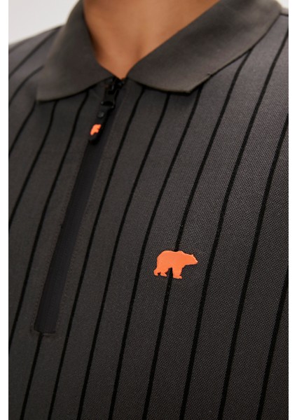 Theo Poloneck Asfalt Polo Yaka Fermuarlı Erkek Tişört fiyatları