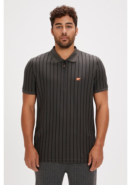 Theo Poloneck Asfalt Polo Yaka Fermuarlı Erkek Tişört fırsatları