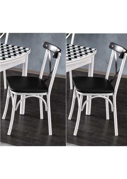 Bahar Mutfak Bahçe Cafe Sandalyesi 2 Li Set