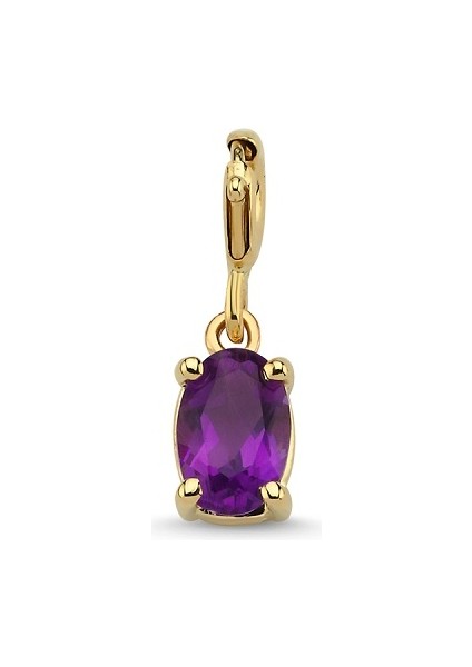 Ametist Taşlı Charm Altın Kolye Ucu