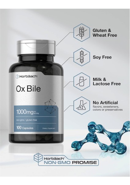 Horbäach Ox Bile 1000 Mg 100 Capsules | Digestive Enzymes Supplement | Non-Gmo & Gluten Free