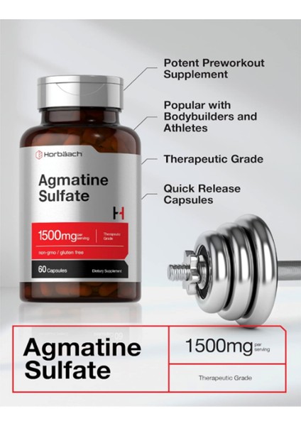 Horbäach Agmatine Sulfate Capsules 1500MG | 60 Pills | Pharmaceutical Grade | Non-Gmo Gluten Free