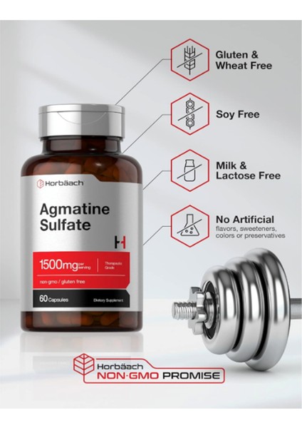 Horbäach Agmatine Sulfate Capsules 1500MG | 60 Pills | Pharmaceutical Grade | Non-Gmo Gluten Free