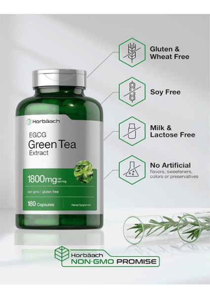 Horbäach Egcg Green Tea Extract Pills | 180 Capsules | Max Potency | Non-Gmo & Gluten Free Supplement