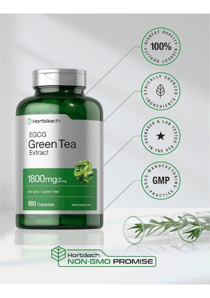 Horbäach Egcg Green Tea Extract Pills | 180 Capsules | Max Potency | Non-Gmo & Gluten Free Supplement