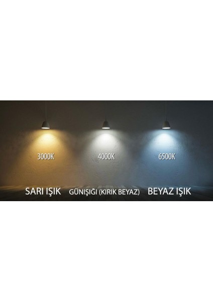 Gün Işığı Sarkıt LED Avize Siyah 6’lı Kuğu Siyah Modern