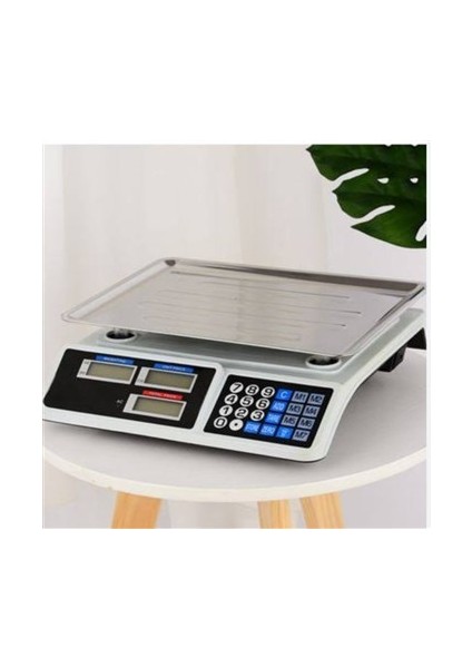 Terazi Tartexs 40 kg fiyatları
