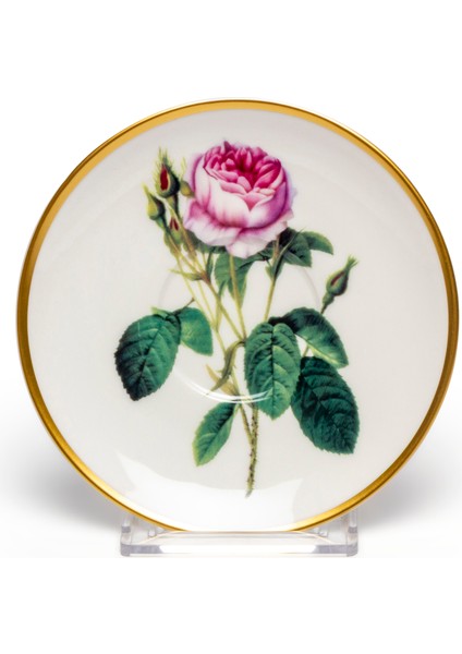 Metaverse Y03 Dekorlu 6 Kişilik Kahve Fincanı Takımı fırsatları