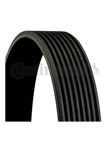 Kanallı V.kayışı Contı 8PK2550 Durango 3.1d 05080840AA Gold
