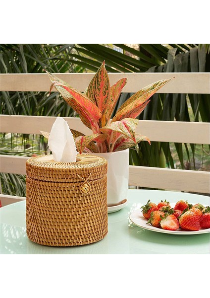 3x Rattan Tissue Box Toilet Paper Cover Wicker Decorative Holders With Lid (Yurt Dışından) fırsatları