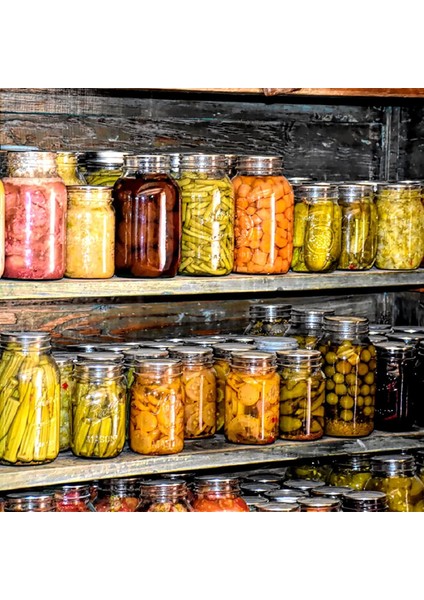 Mason Kavanozları Için Ağız Konserve Kapakları Bölünmüş Tip Kavanoz Kapakları Silikon Contalı Sızdırmaz ve Güvenli Konserve KAPAKLARI-150 Pcs (Yurt Dışından) indirimleri