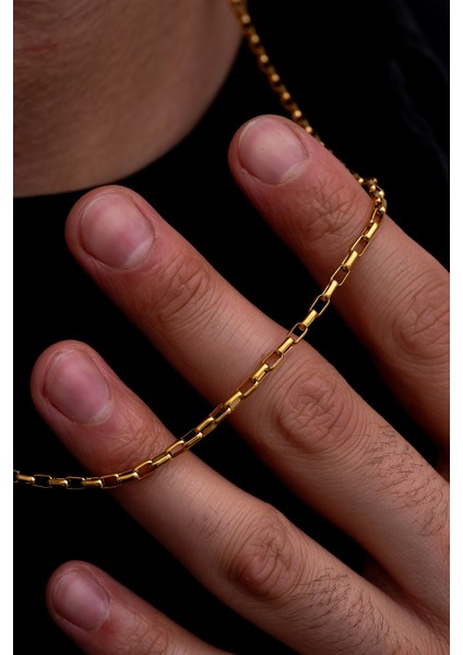 Erkek Çelik Kolye - Altın Kaplama Halka Model Paslanmaz Çelik Kolye fiyatları