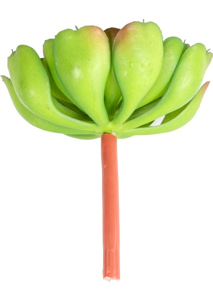 Yapay Kaktüs Sukulent Yeşil 12 Cm.