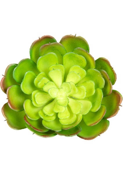 Yapay Kaktüs Sukulent Yeşil 12 Cm.