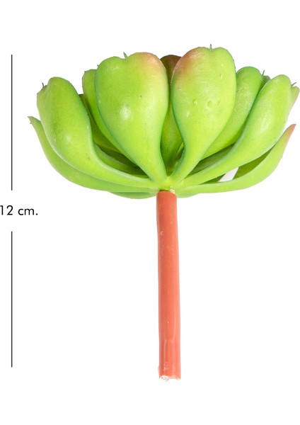 Yapay Kaktüs Sukulent Yeşil 12 Cm.