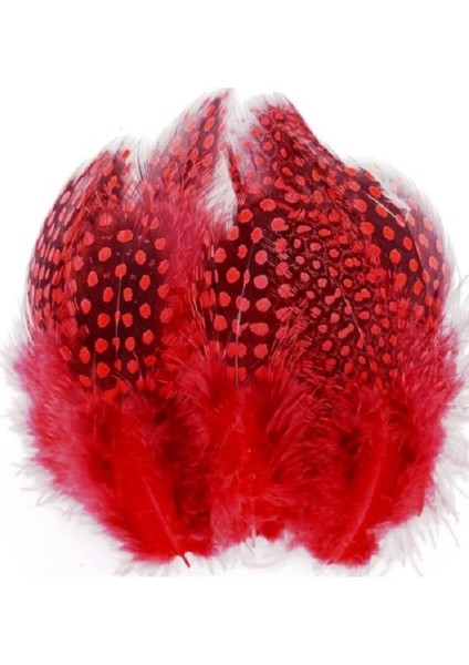 Decor Red Bırd Feather 50 Adet Puantiyeli Kırmızı Siyah Tüy Dekor - 3 Paket