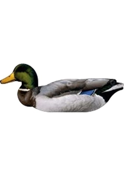 Nra Fud Mallard Ducks Ördek Mühre-(3 Erkek-3 Dişi)