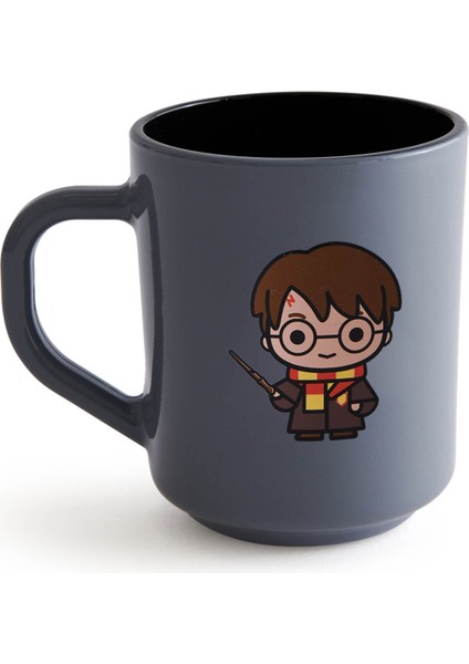 Harry Potter Kupa - Gri - 250 ml