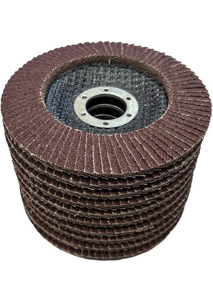 115 mm Flap Zımpara 100 Kum (10 Adet)
