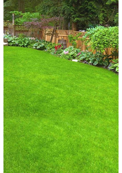Çim Tohumu Ithal 7 Karışım 2 Adet Ankomer 1'lik Ambalajlarda ( Toplam 2 Kg. ) 7m Çim Tohumu Grass S. fiyatları
